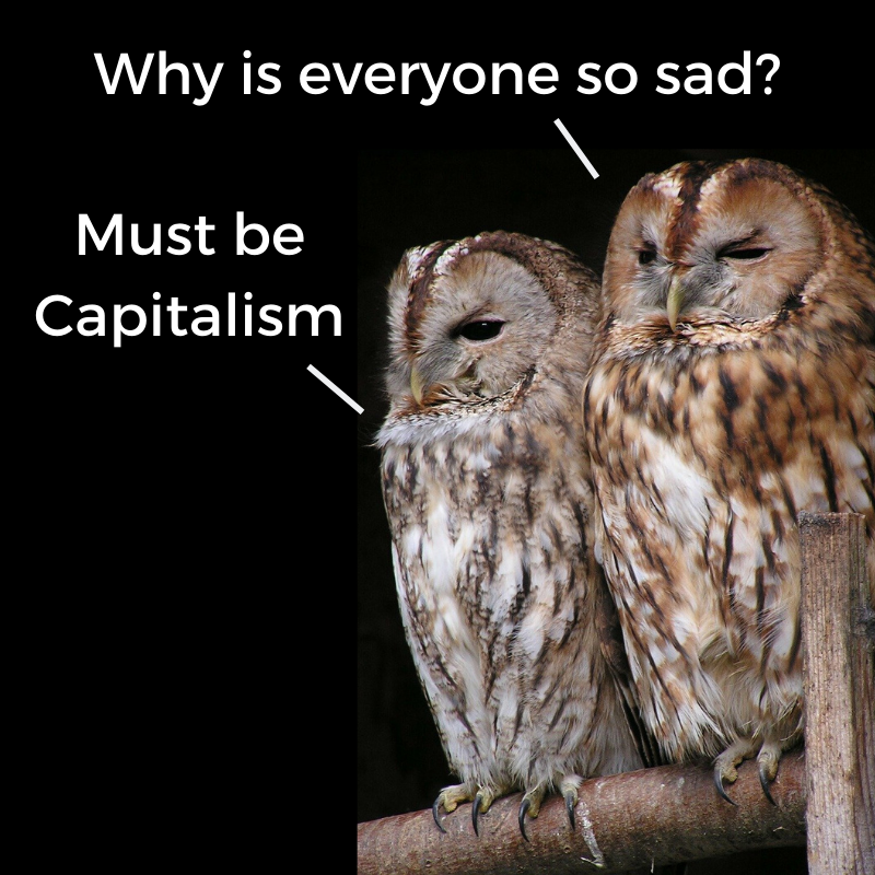 Sad Owls True